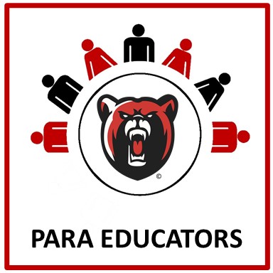 Paraprofessionals
